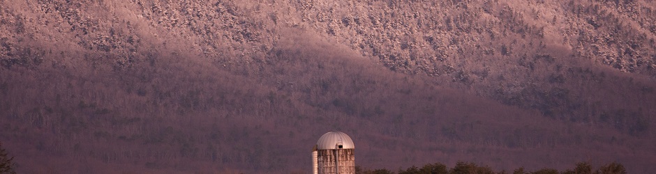 Current Conditions at