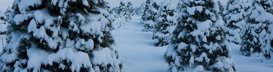 4/18/2026 5:51:00 AM